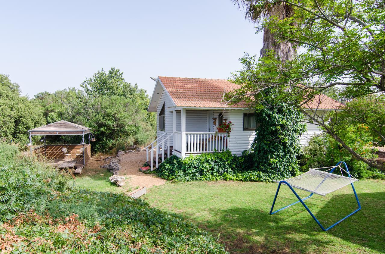 Tal Nof Cabins Villa Manot Ngoại thất bức ảnh